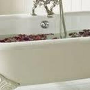 Fizzy Bath Scoops 3 lbs