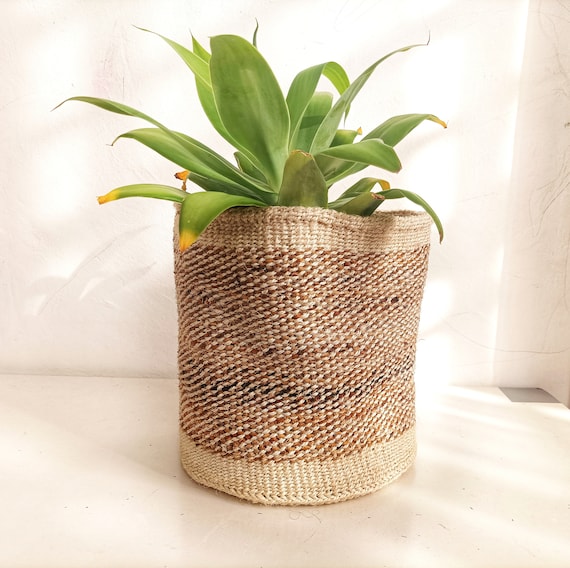 Woven basket for sale plant