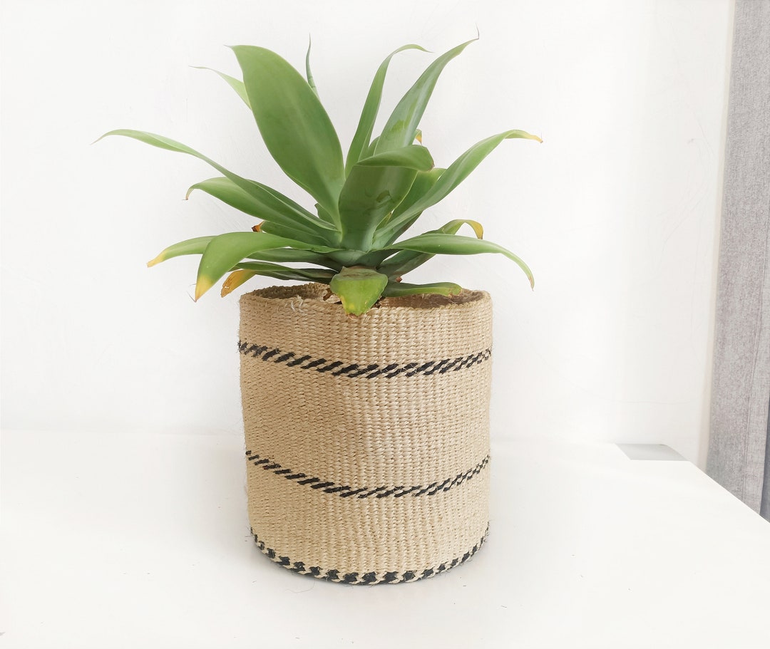 Sisal Basket for Plant, Plant Gifts for Plant Lovers, House Plant