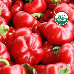 Pimento Pepper, 25+ Seeds NON-GMO Certified Organic