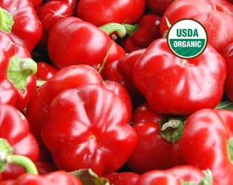 Pimento Pepper, 25+ Seeds NON-GMO Certified Organic