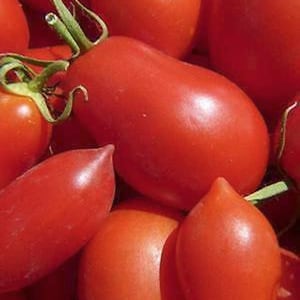May include: A close-up of a group of red tomatoes. The tomatoes are arranged in a pile, with some of them overlapping. The tomatoes are all ripe and have a smooth, shiny skin.