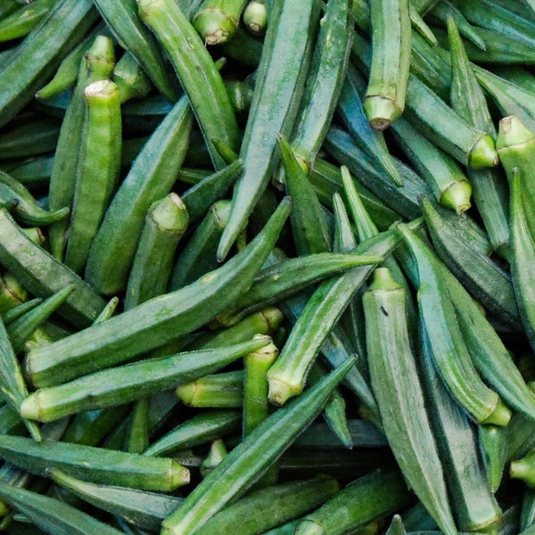 Emerald Okra, 25+ Seeds NON-GMO Organically Grown