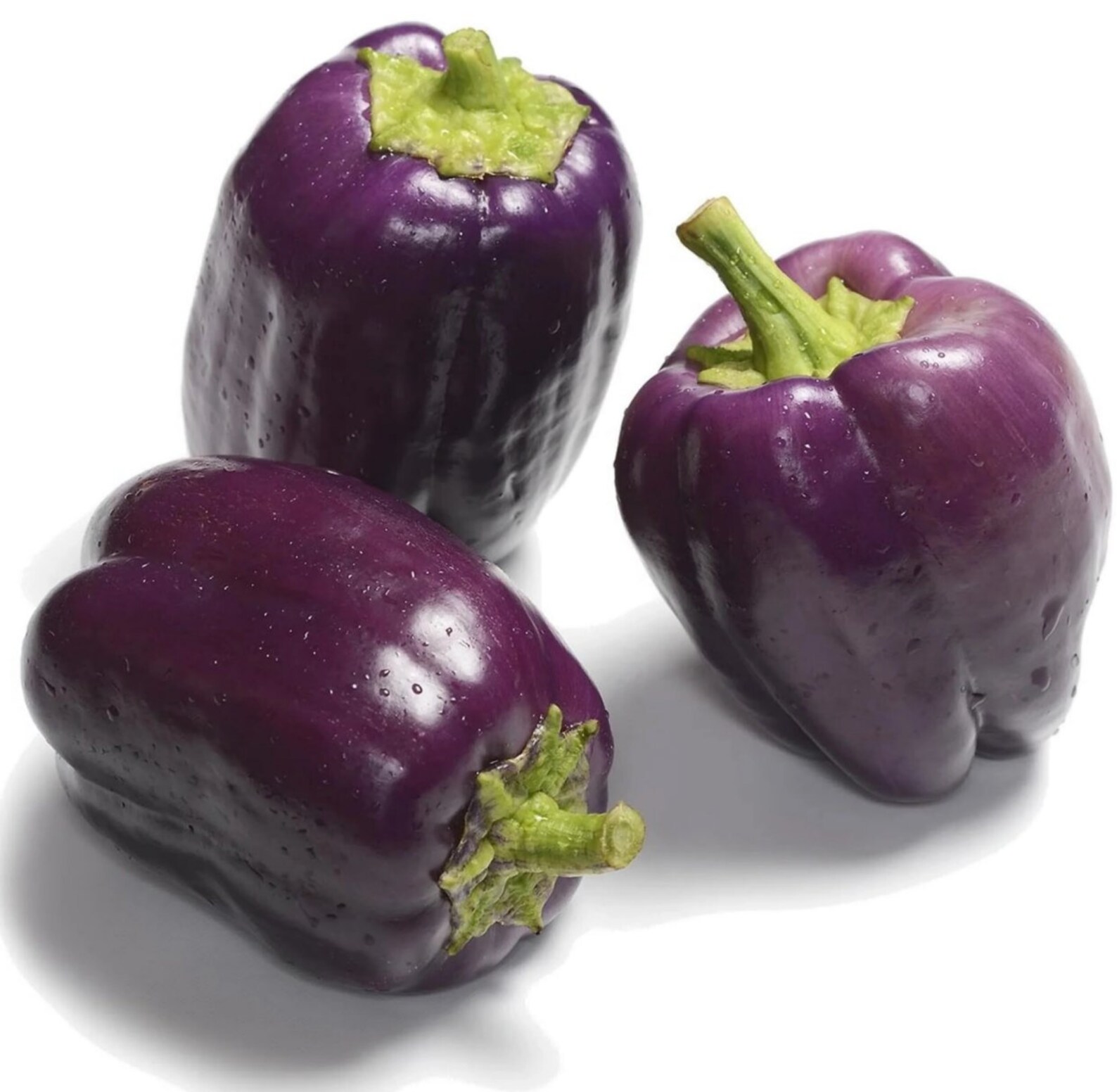 25 Purple Beauty Bell Pepper Seeds NONGMO Organically Grown Etsy