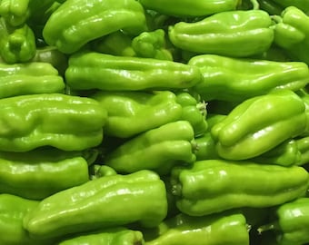 25+ Cubanelle Pepper Seeds 25+ Cubanelle Pepper Seeds
