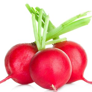 Crimson Giant Radish, 25+ Seeds NON-GMO Organically Grown