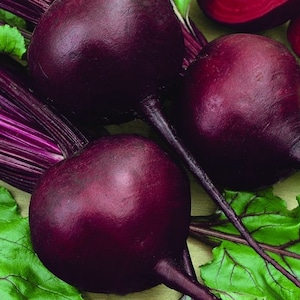 Detroit Dark Red Beet, 25+ Seeds NON-GMO Organically Grown