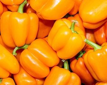 Orange Sun Pepper, 20 Seeds NON-GMO Organically Grown