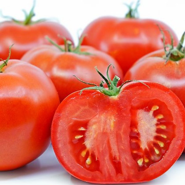 Beefsteak Tomato Etsy