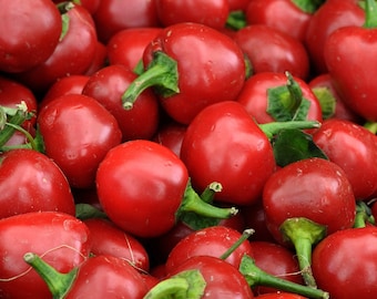May include: A close-up shot of a pile of bright red cherry peppers. Each pepper has a round shape with a green stem and a glossy surface. The peppers are tightly packed together, creating a vibrant and textured display.