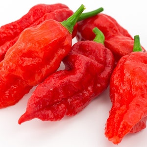 Ghost Pepper, 25+ Seeds HOT! NON-GMO Organically Grown