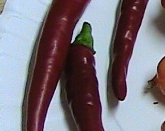 Cayenne Hot Pepper, 25+ Seeds NON-GMO Organically Grown