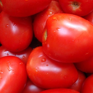 May include: Close-up of a pile of ripe, red Roma tomatoes. The tomatoes are oval-shaped with smooth, shiny skin and small water droplets. The tomatoes are a vibrant red color.