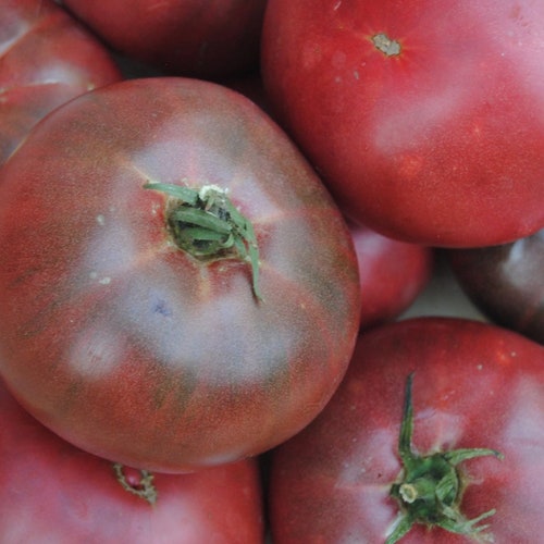 Cherokee Purple Tomato, 25+ Seeds NON-GMO Certified Organic