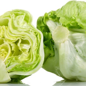 Iceberg Lettuce, 200+ Seeds NON-GMO Organically Grown