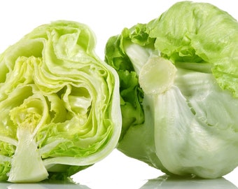 Iceberg Lettuce, 200+ Seeds NON-GMO Organically Grown