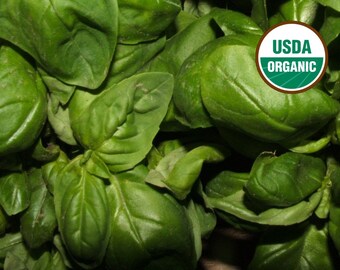 Genovese Basil, 25+ Seeds NON-GMO Certified Organic