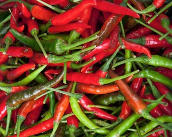 Tabasco Pepper, 25+ Seeds HOT! NON-GMO Organically Grown