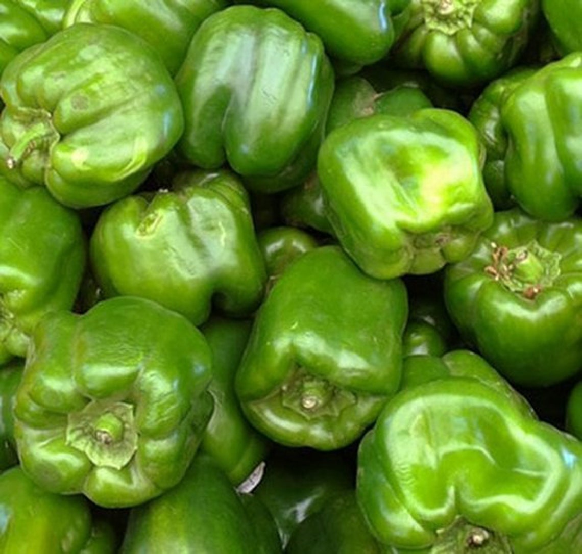 25 California Wonder Bell Pepper Seeds NONGMO Organically Etsy
