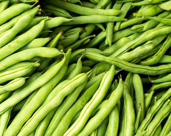 May include: A close-up image of a pile of fresh green string beans. The beans are arranged in a random pattern, with some beans overlapping others. The beans are all about the same size and shape, and they have a bright green color.