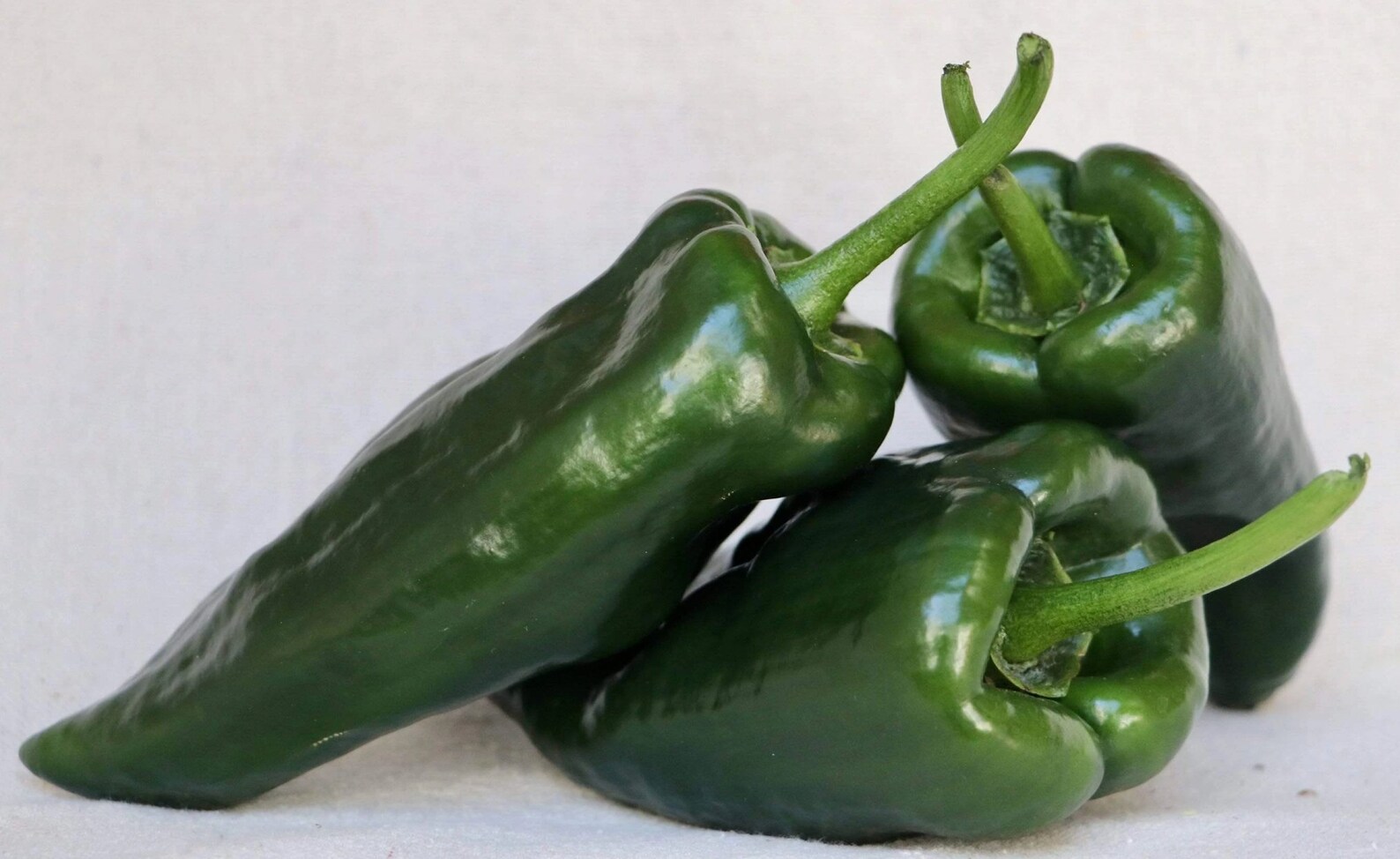 25 Poblano Hot Pepper Seeds NONGMO Organically Grown Etsy
