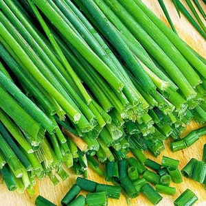 Chive, 25+ Seeds NON-GMO Organically Grown