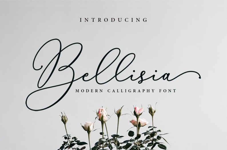 Modern Font Feminine Font Handwritten Font Calligraphy Etsy