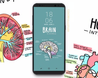 Anatomy Wallpaper Etsy