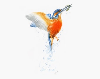 Kingfisher Painting; Kingfisher Watercolour; Kingfisher Art; Kingfisher
