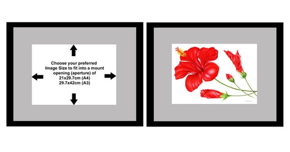 Red Hibiscus Flower Art Print, Botanical Art Print, Tropical