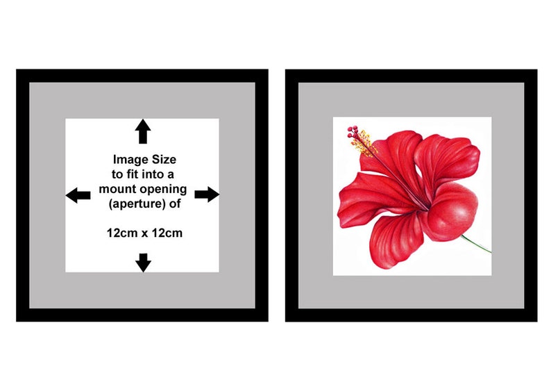 Red Hibiscus Flower Art Print, Floral Art, Tropical Flower Wall Art, Red Flower, Flowers Print