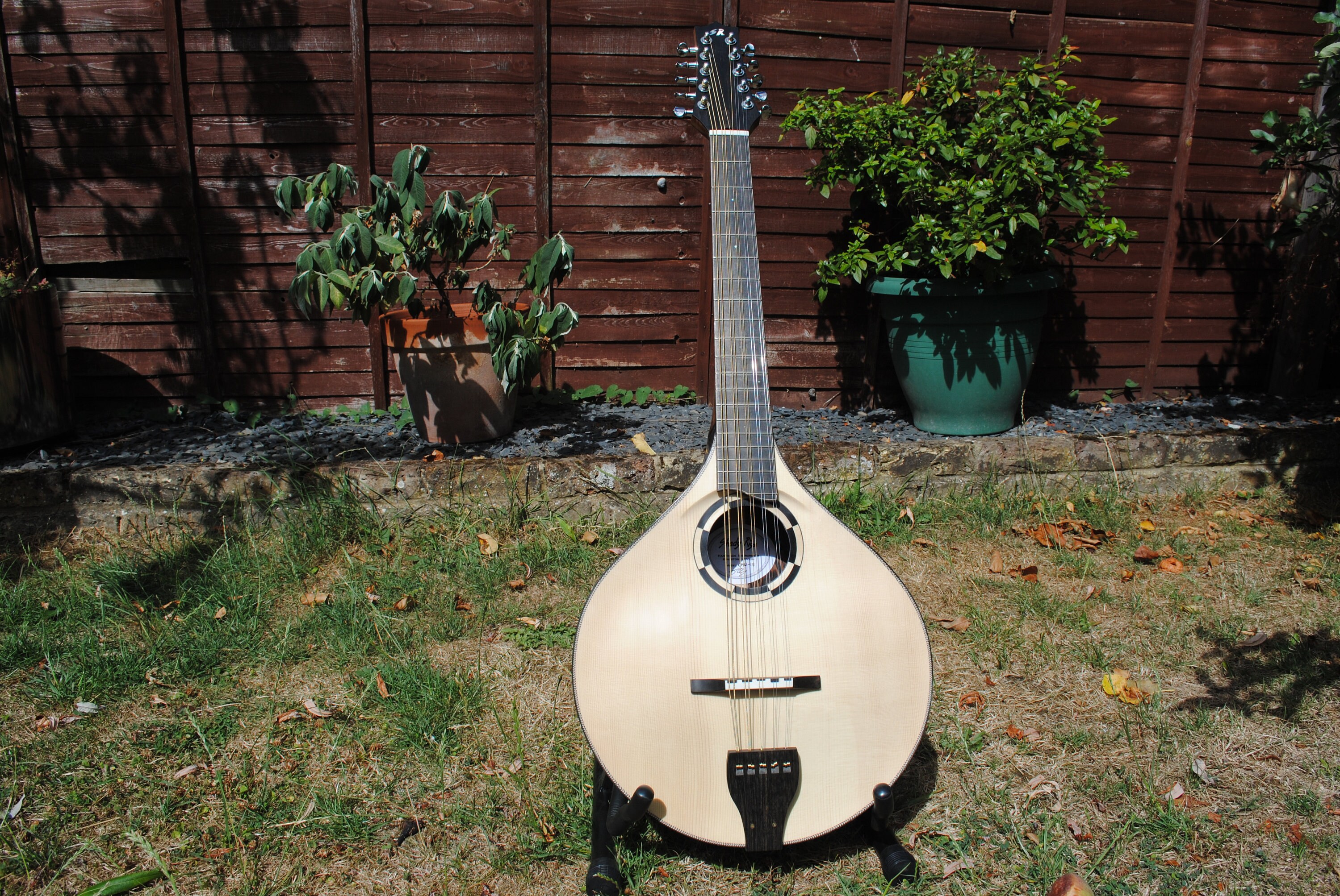 Irish Cittern Etsy