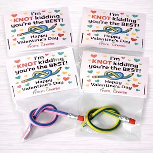 Valentine's Day Bendable Pencil Party Favors, Gift for Kids, Student Classroom Exchanges, Non Candy Party Favors, Ready to Gift Valentines