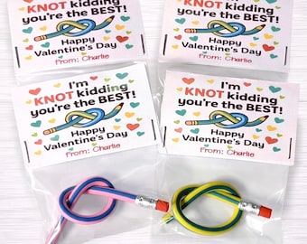 Valentine's Day Bendable Pencil Party Favors, Gift for Kids, Student Classroom Exchanges, Non Candy Party Favors, Ready to Gift Valentines