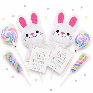 Personalized Bunny Lollipop Holder with Custom Gift Tag – Lollipop Included - Easter Party Favors -Basket Stuffer - Classroom Exchange