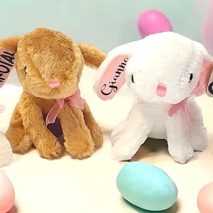 Personalisierter Plüsch Osterhase - Perfekt für Osterkörbe - Ostereiersuche - Korbfüller - Ostergeschenke - Klassenzimmerbörse