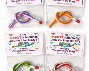 Valentine's Day Bendable Pencil Party Favors, Gift for Kids, Student Classroom Exchanges, Non Candy Party Favors, Ready to Gift Valentines