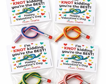 Valentine's Day Bendable Pencil Party Favors, Gift for Kids, Student Classroom Exchanges, Non Candy Party Favors, Ready to Gift Valentines