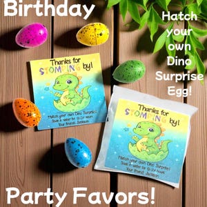 Hatching Dinosaur Egg Birthday Party Favors – Goodie Bag Stuffers – Bulk Party Favors - Kids Dinosaur Gift - Kids Non Candy Favors