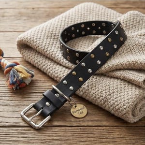 Studded Leather Dog Collar With Free Personalized Name Tag | Gift for Pet
