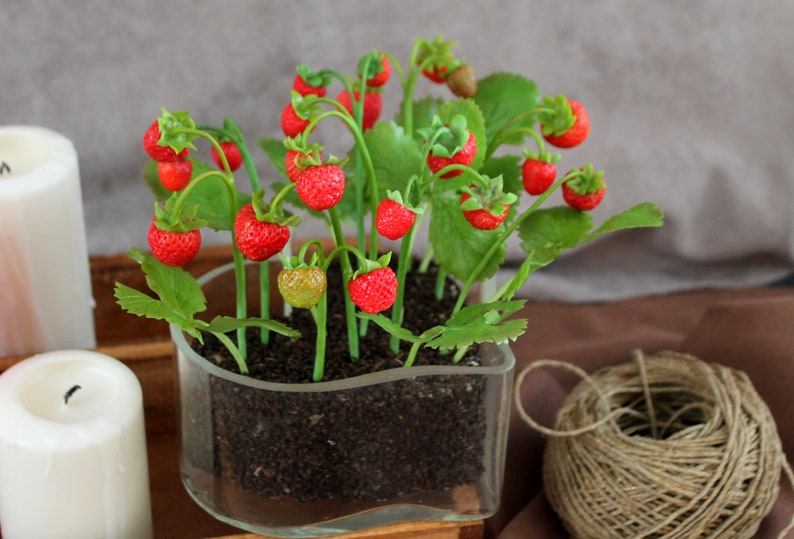 Clay strawberry Strawberry from polimer clay Gift for mom sister girlfriend.