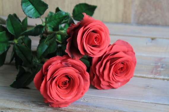 flowers gift for girlfriend