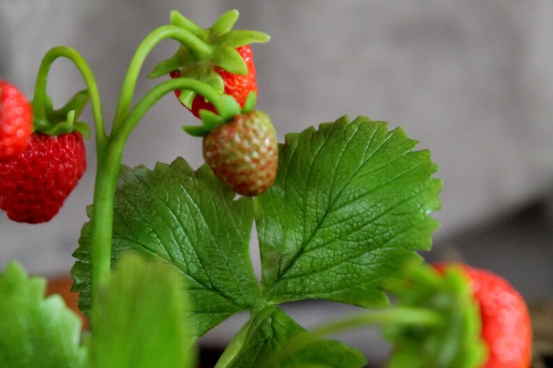 Clay strawberry Strawberry from polimer clay Gift for mom sister girlfriend.