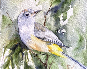 Big Bend National Park - Colima Warbler Notecards