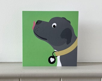 Nice Set Magpie Beasties Collectors Plates by Carola Van Dyke - 4