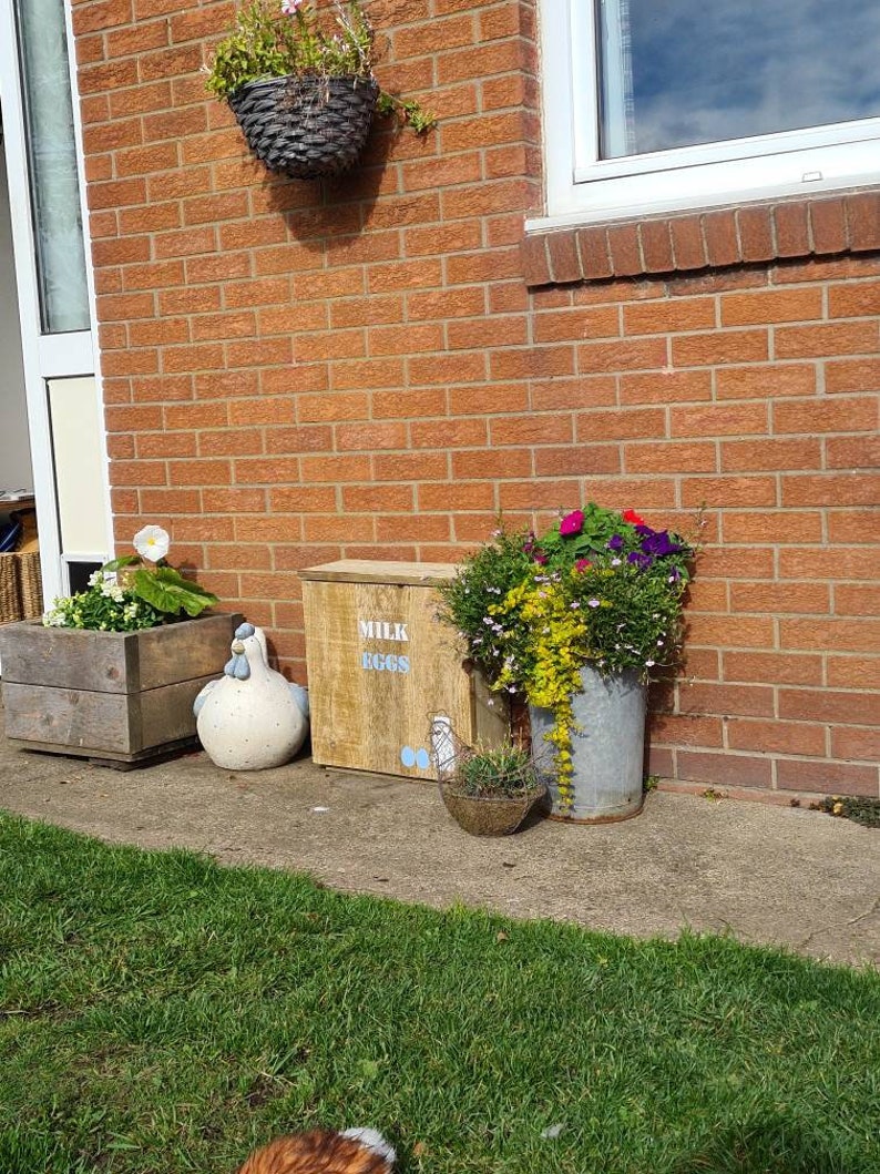 Doorstep deliveries cupboard/box. Keep your milk and food deliveries safe from wildlife break-ins Honesty box. Doorstep milk box/holder. image 7