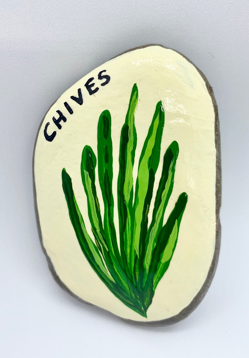 Handpainted Herb Garden Markers river Rock Etsy