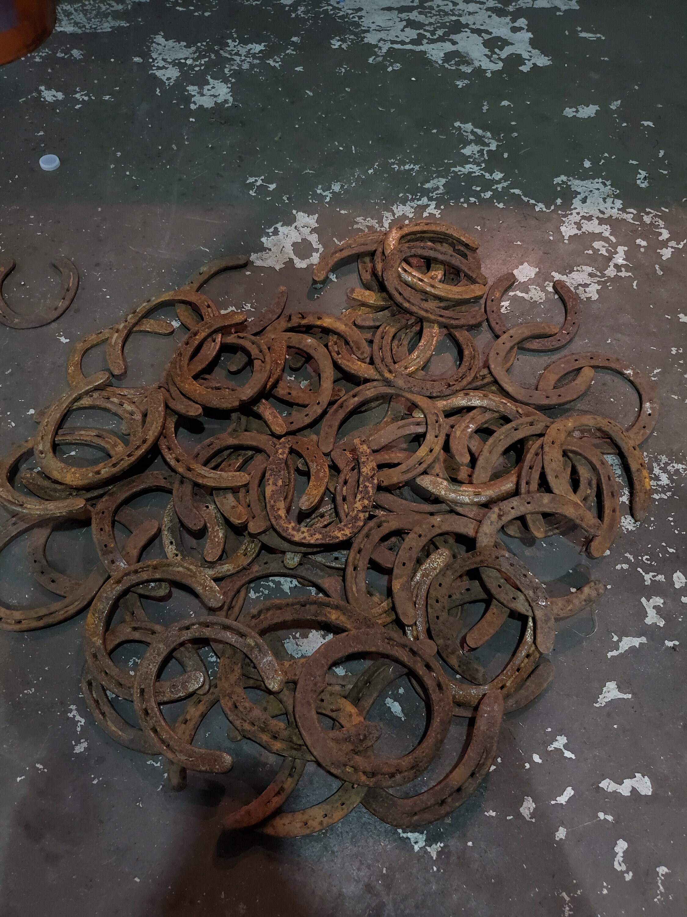 Sculpting & Forming Equestrian Gift Horseshoe Craft Supply Single Used