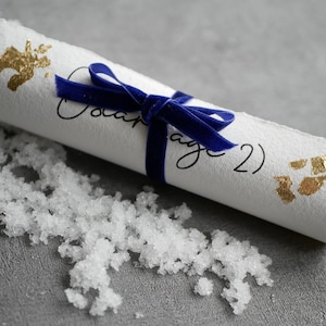 May include: A white scroll tied with a blue velvet ribbon, decorated with gold leaf accents. The scroll is labelled "Page 2".