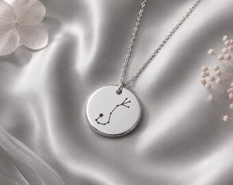 Sterrenbeeld ketting, sterrenbeeld munt ketting, sterrenbeeld ketting, hemelse sieraden cadeau, gepersonaliseerde dierenriem hanger, verjaardagscadeau voor haar
